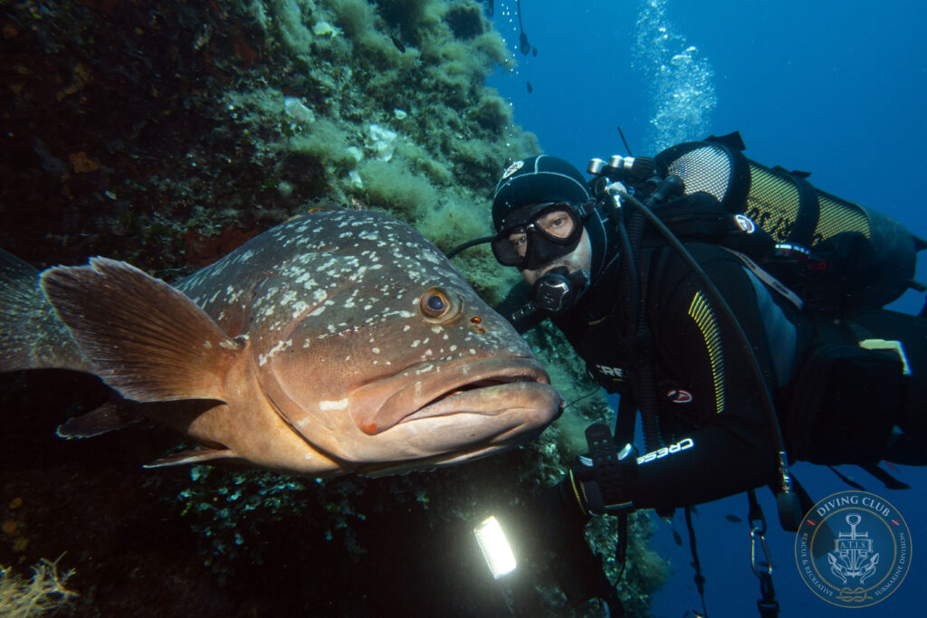 Alberto con una Cernia