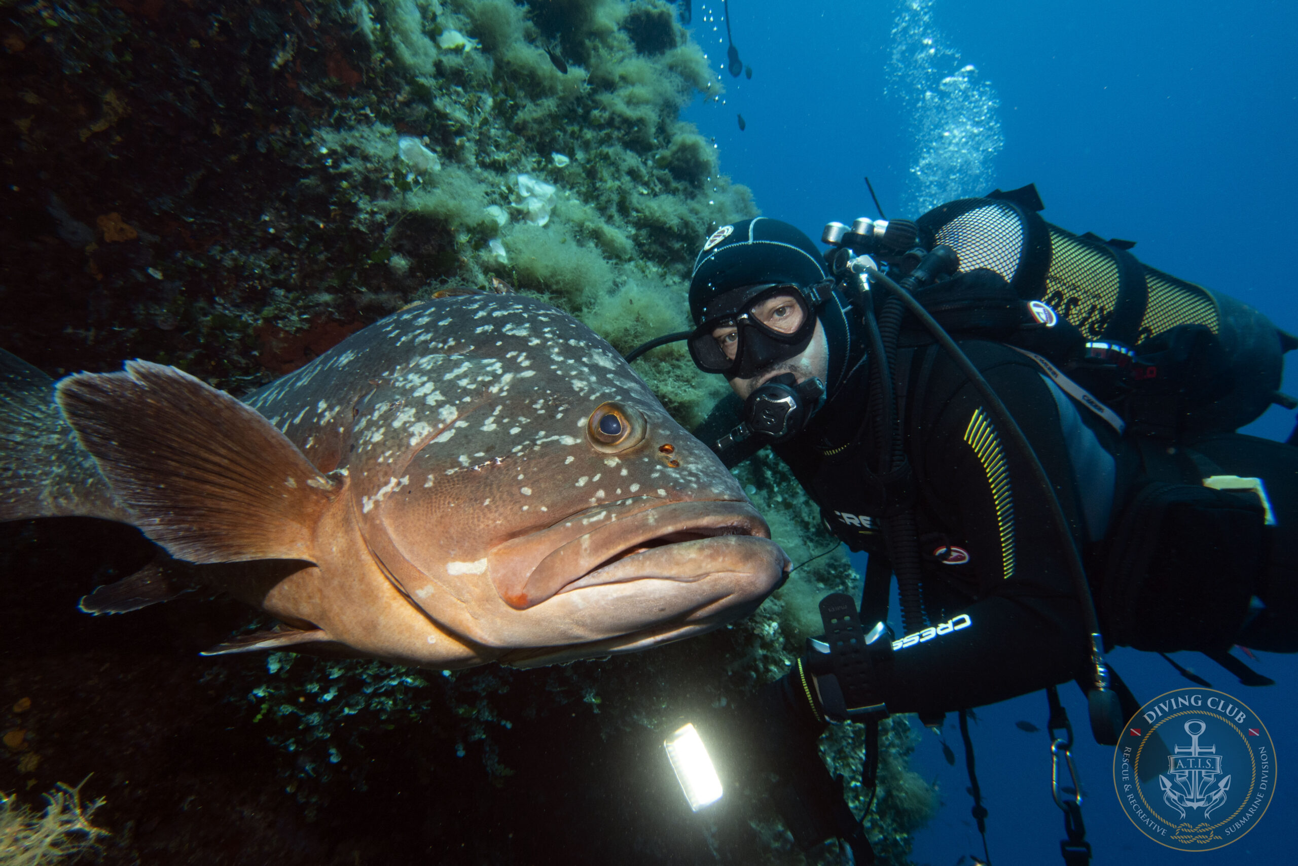 Perché Proseguire con il Corso Advanced Diver dopo il Brevetto Open Water?