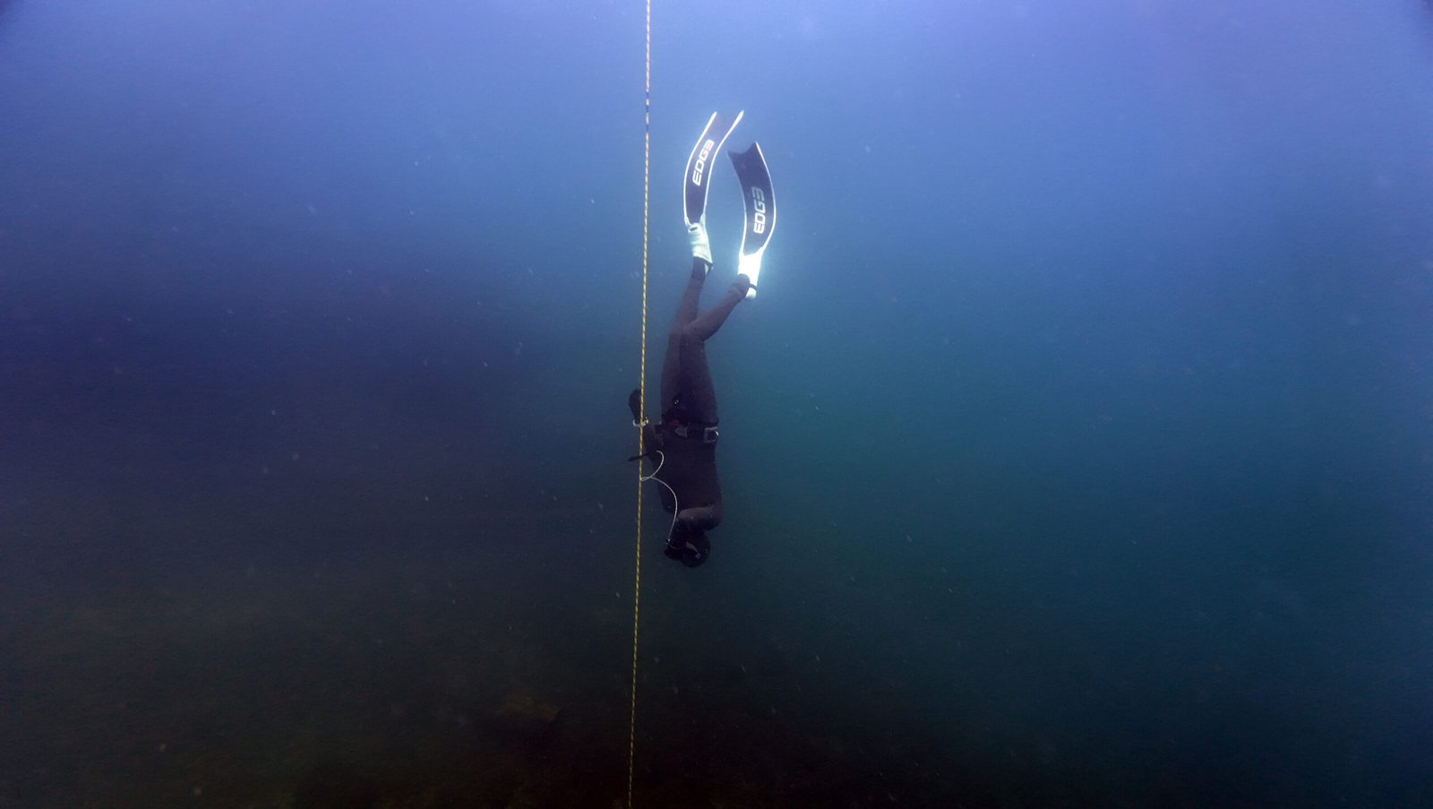 Corso apnea 2° livello