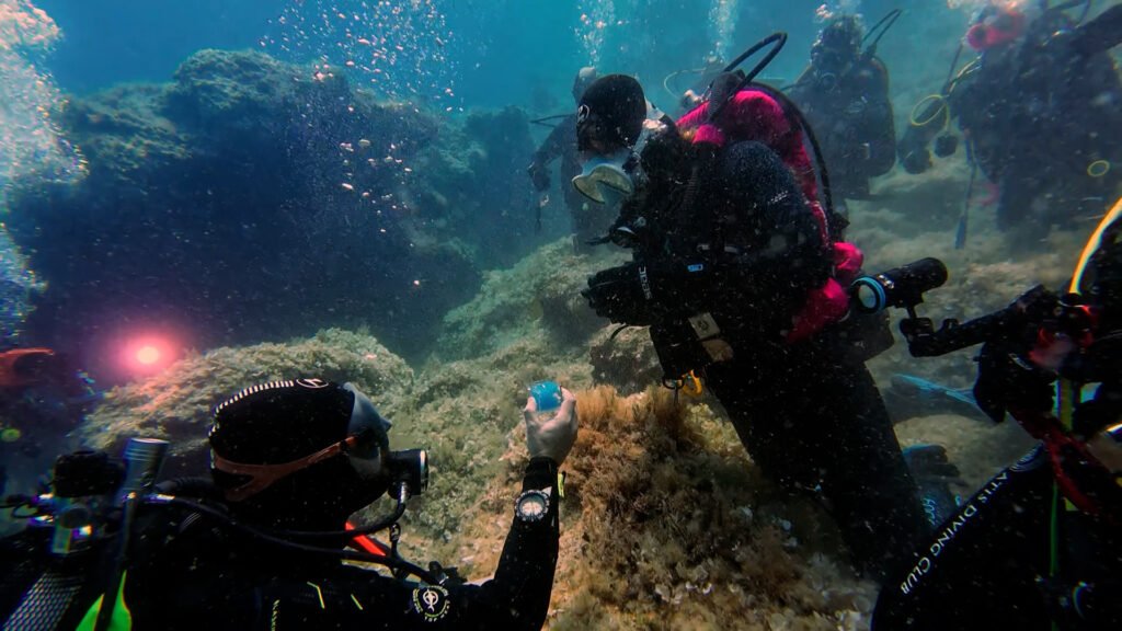 Proposta di matrimonio immersione subacquea