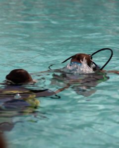 Prova subacquea in piscina a Verona con istruttore ATIS Diving Club durante corso sub base