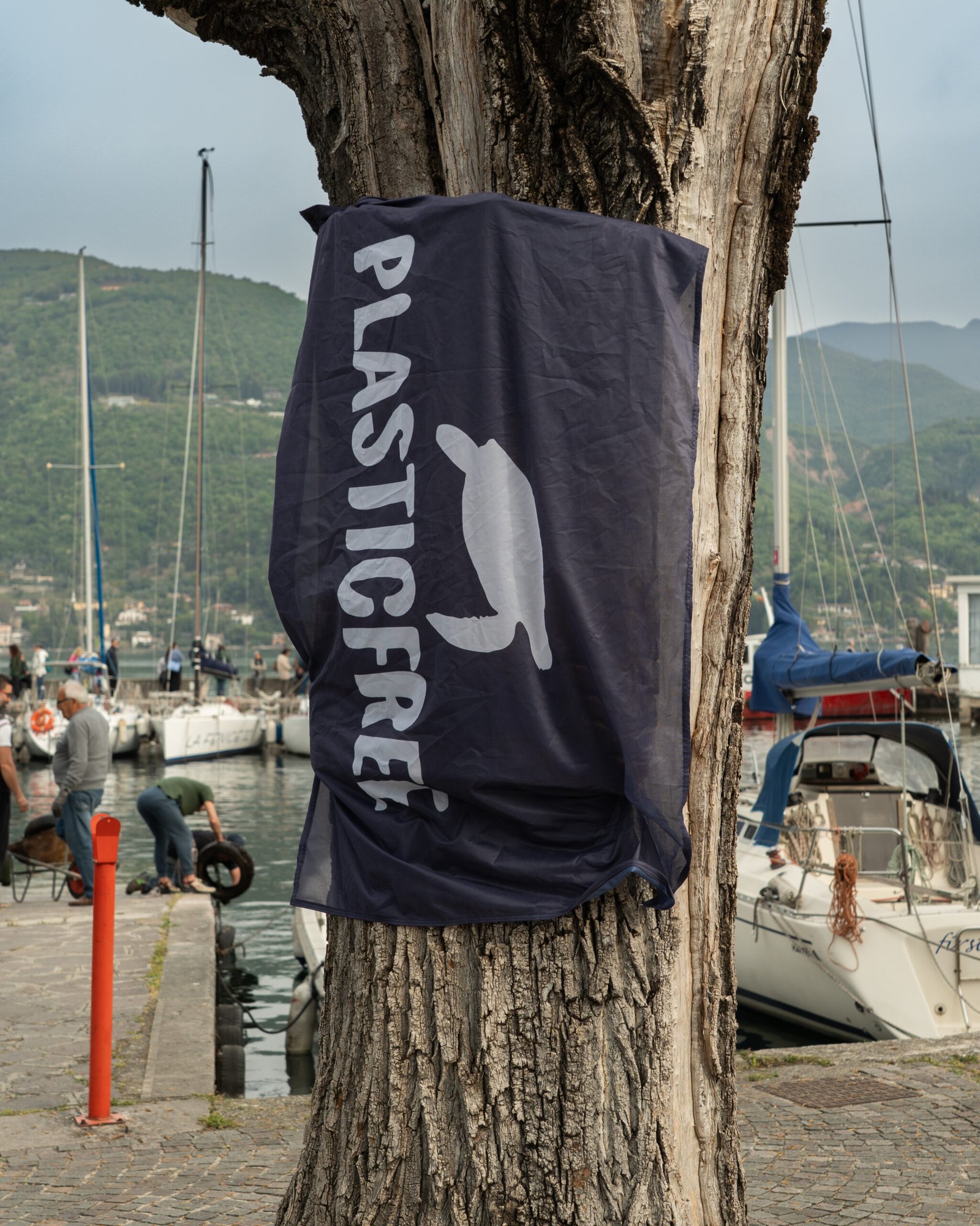 Immagine casuale